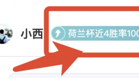 赵睿与裁判激烈冲突，恐面临重罚，三场停赛及十万以上罚款成定局。